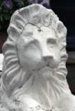 St Peters Villas lion